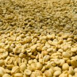 Arabica Washed
