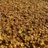 Arabica Honey