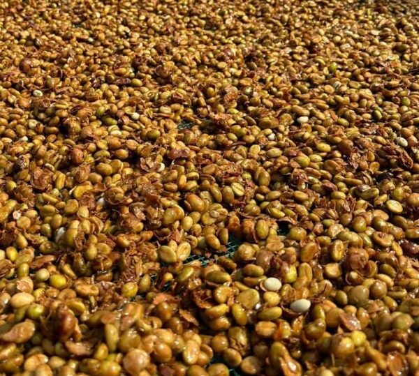 z4989737228193_e83fa9fb4af63a1f78133e31a07b8aae Arabica Honey